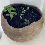 Terra Handmade Ceramic Flower Pot
