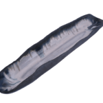 Handmade Long White Ceramic Sushi Plate