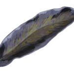 Handmade Leaf Ceramic Sushi Plate