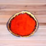 Handmade Ceramic Plate - Coral Collection